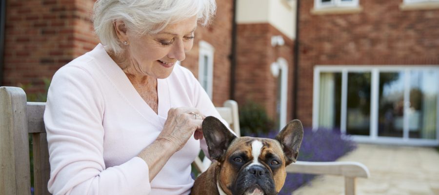 Senior Woman Sitting On Bench With Pet French Bulldog In Assisted Living Facility