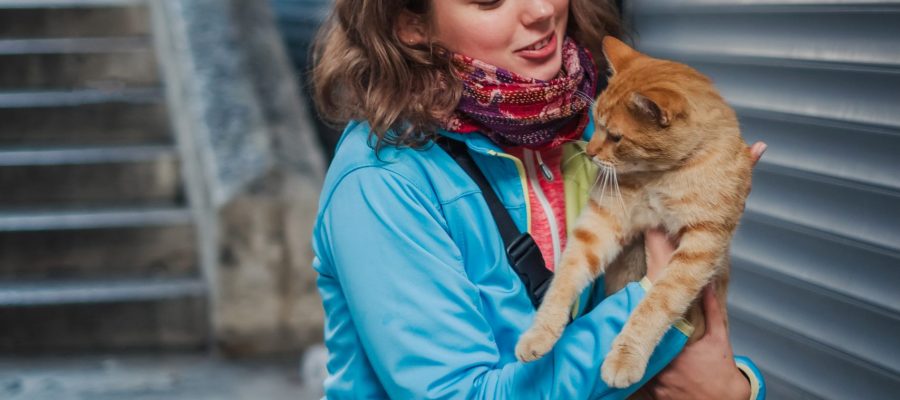 Portrait of beautiful woman that paying with red homeless cat. Love and fun emotion for pets